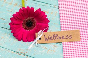 daily wellness tips